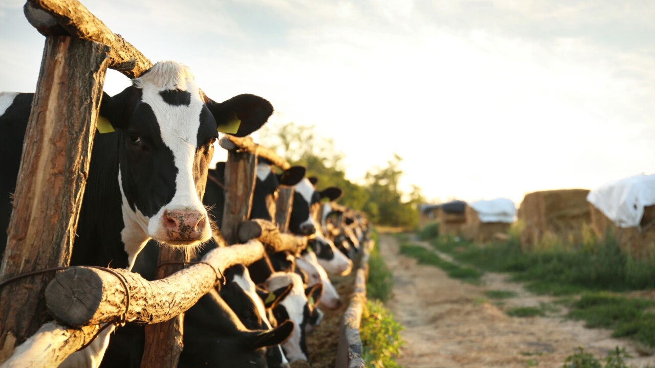 Landwirtschaft